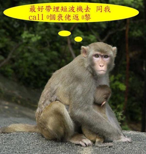 沙羅洞