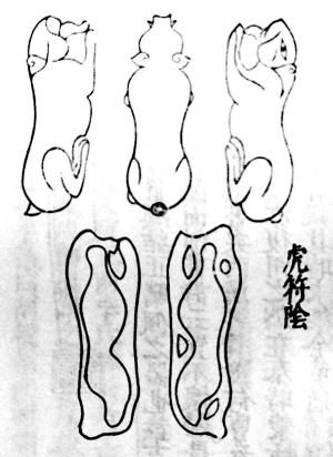 110s00057pr765r54qrn.jpg