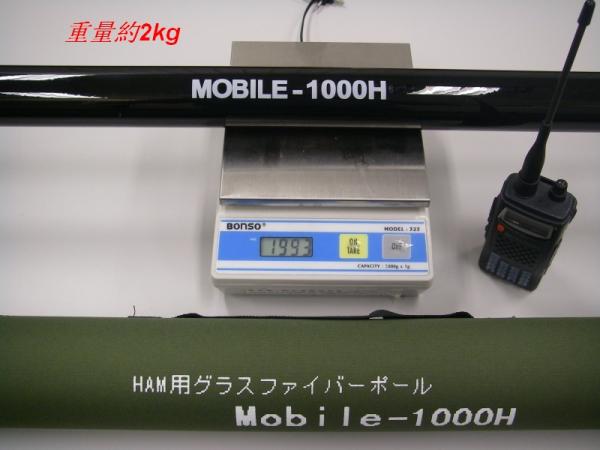 10m_rod_02_a.jpg